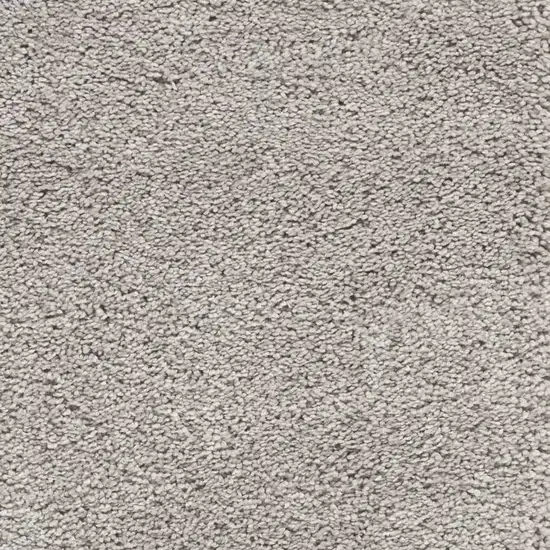 Gray Shag Distressed Area Rug Photo 4