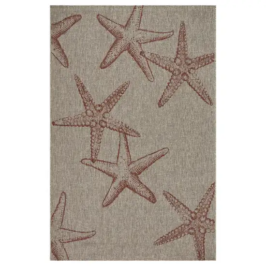 Gray Starfish Indoor Outdoor Area Rug Photo 1