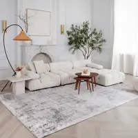 Photo of Gray and Beige Abstract Distressed Area Rug