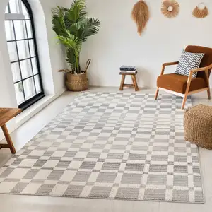 Photo of Gray and Beige Checkered Distressed Area Rug