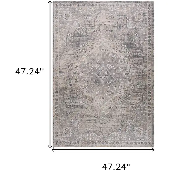 Gray and Beige Oriental Distressed Area Rug Photo 3