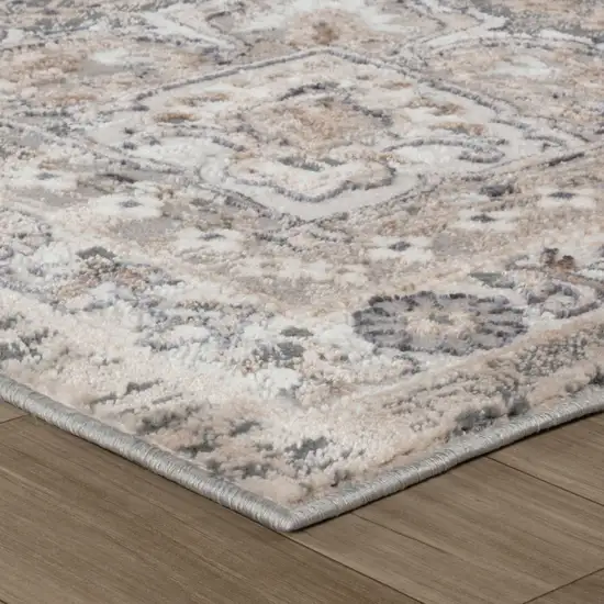 Gray and Beige Oriental Distressed Area Rug Photo 4