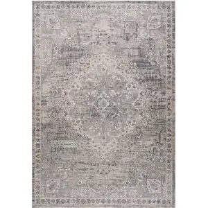 Photo of Gray and Beige Oriental Distressed Area Rug