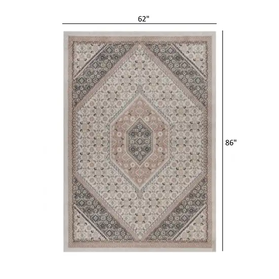 Gray and Blush Traditional Area Rug Photo 7