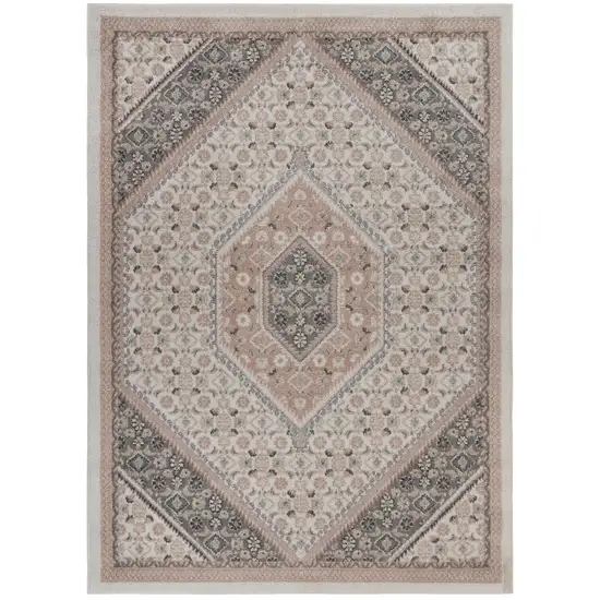 Gray and Blush Traditional Area Rug Photo 8