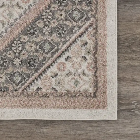 Gray and Blush Traditional Area Rug Photo 6