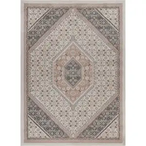 Photo of Gray and Blush Traditional Area Rug