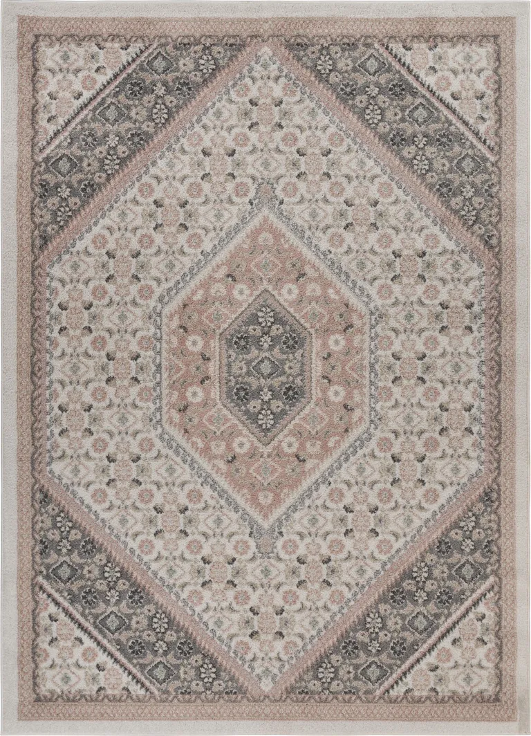 Gray and Blush Traditional Area Rug Photo 1