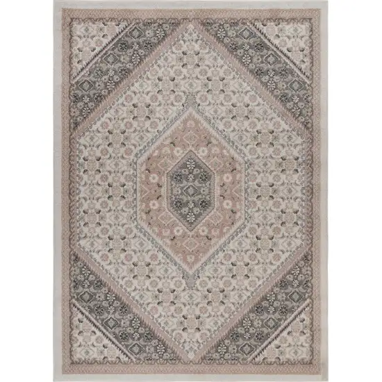 Gray and Blush Traditional Area Rug Photo 1