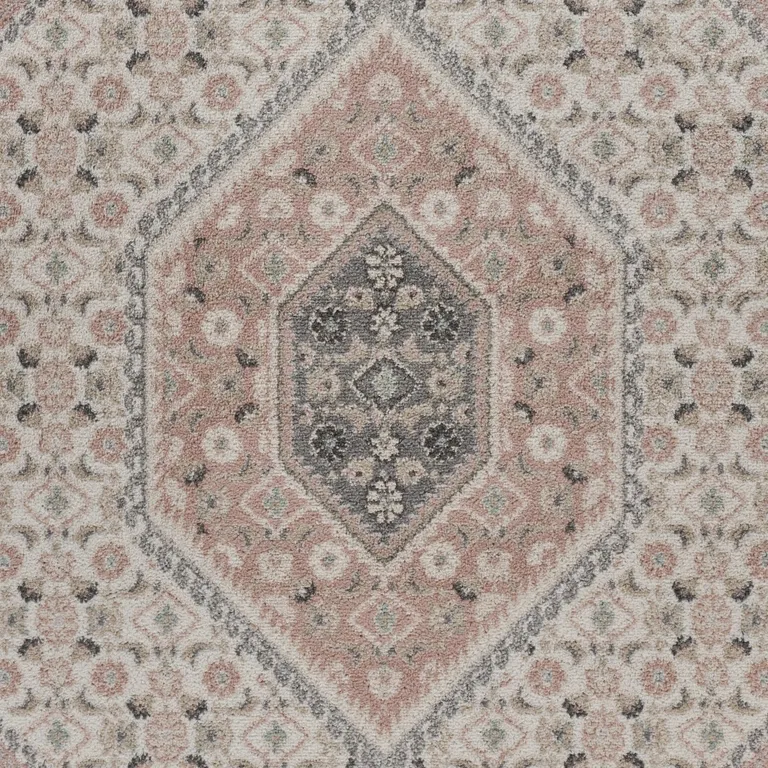 Gray and Blush Traditional Area Rug Photo 2