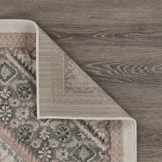 Gray and Blush Traditional Area Rug Photo 4