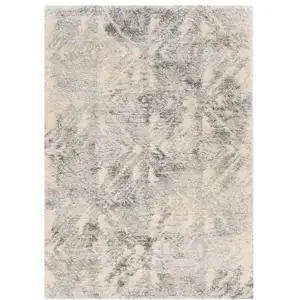 Photo of Gray and Ivory Damask Area Rug