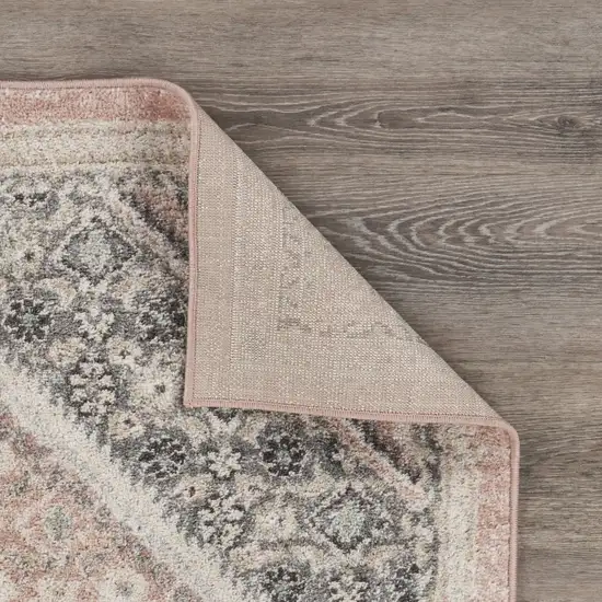 Gray and Soft Pink Traditional Area Rug Photo 4