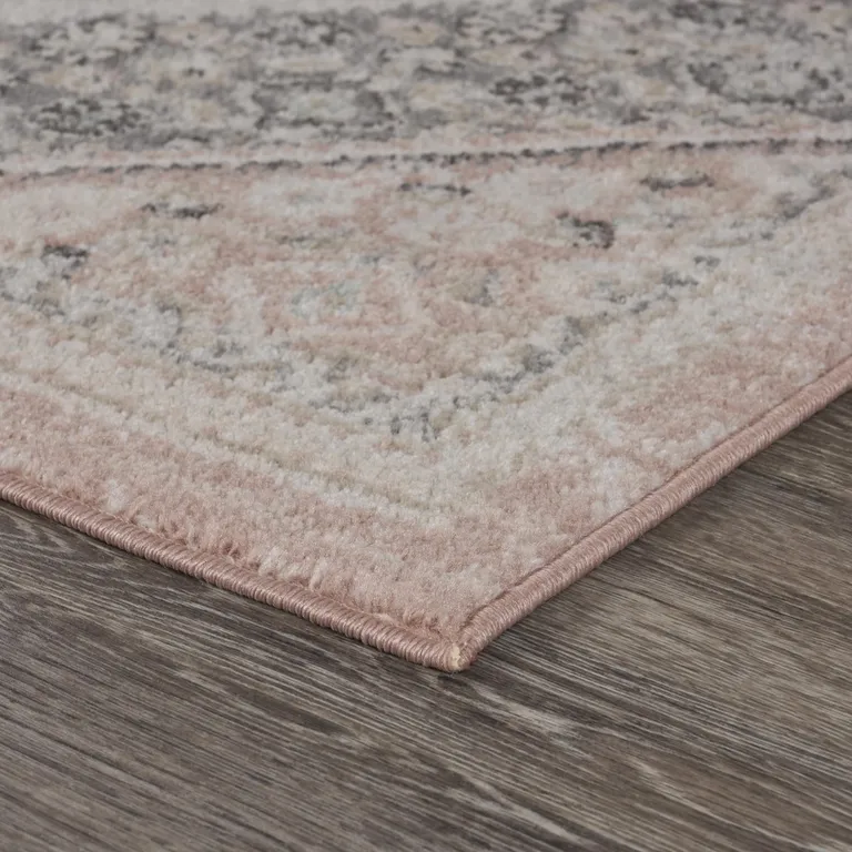 Gray and Soft Pink Traditional Area Rug Photo 3