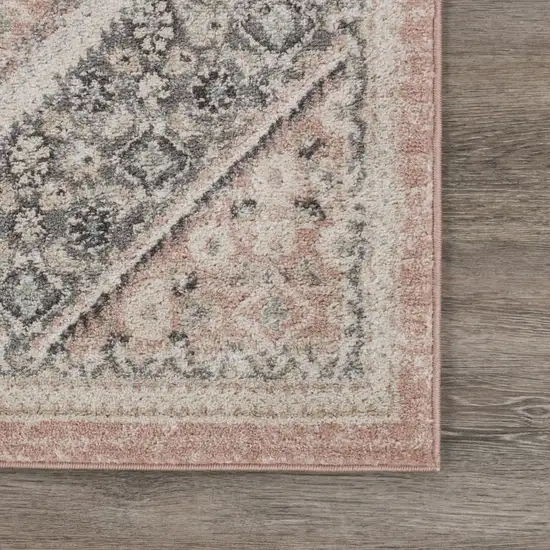 Gray and Soft Pink Traditional Area Rug Photo 6