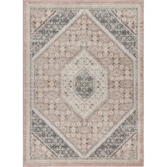 Gray and Soft Pink Traditional Area Rug Photo 8