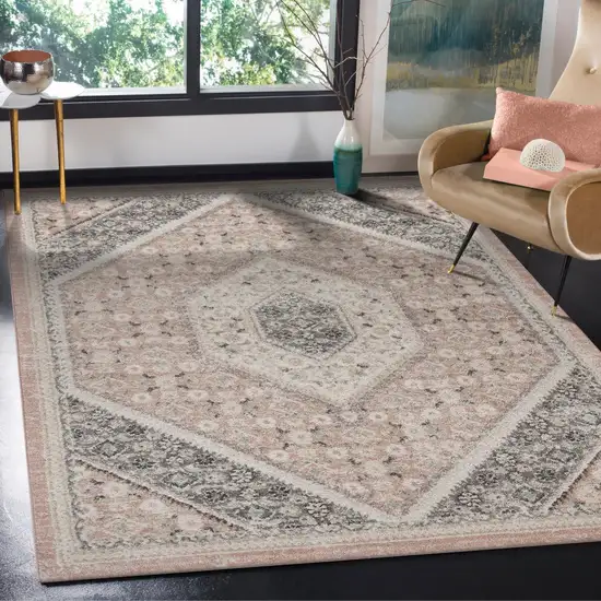 Gray and Soft Pink Traditional Area Rug Photo 9