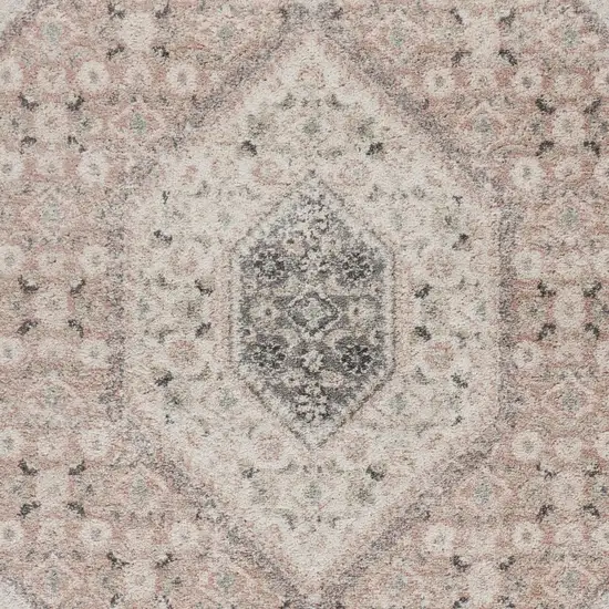 Gray and Soft Pink Traditional Area Rug Photo 2