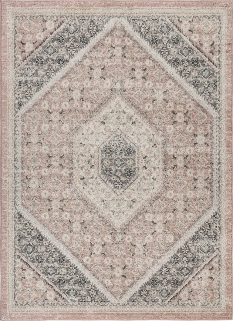 Gray and Soft Pink Traditional Area Rug Photo 1