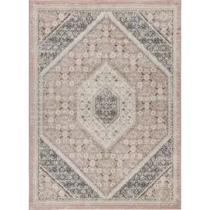 Photo of Gray and Soft Pink Traditional Area Rug