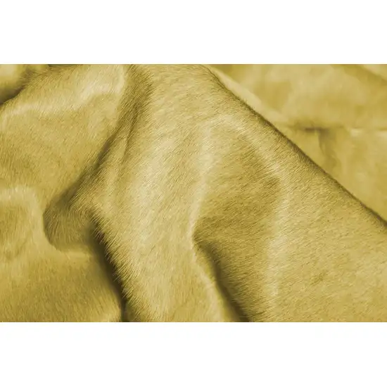 Honey Cowhide  Rug Photo 2