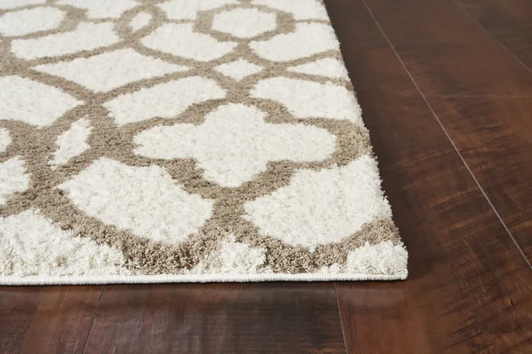 Ivory Beige Trellis Machine Woven Microfiber Indoor Area Rug Photo 4