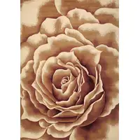 Photo of Ivory Floral Indoor Area Rug