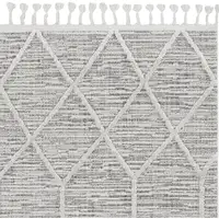 Photo of Ivory Grey Machine Woven Abstract With Fringe Indoor Area Rug