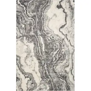 Photo of Ivory Grey Machine Woven Marble Indoor Area Rug