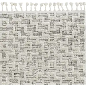 Photo of Ivory Grey Zigzag Diamonds Area Rug with Fringe