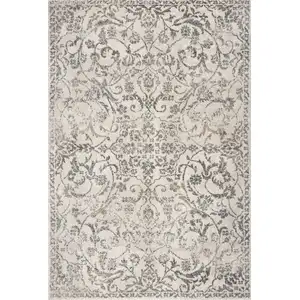 Photo of Ivory Machine Woven Distressed Traditional Floral Vines Indoor Area Rugg