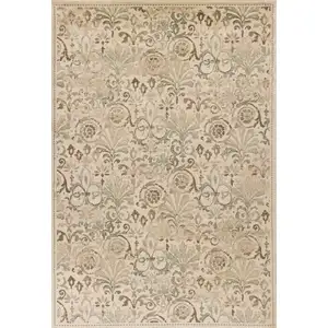 Photo of Ivory Machine Woven Floral Traditional Indoor Area Rug