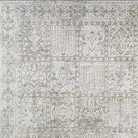 Photo of Ivory Oriental Distressed Area Rug With Fringe