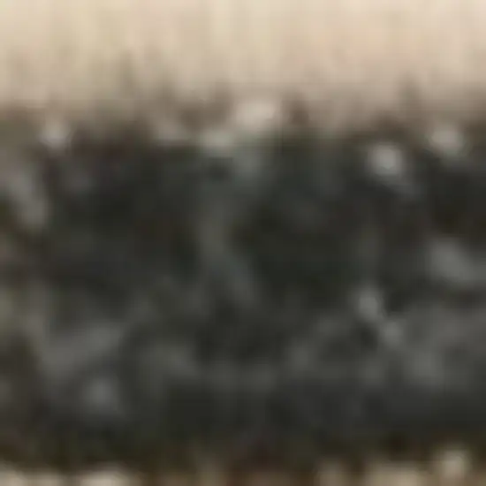 Ivory Polypropylene Rug Photo 6