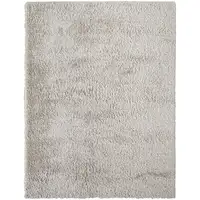 Photo of Ivory Shag Power Loom Stain Resistant Area Rug