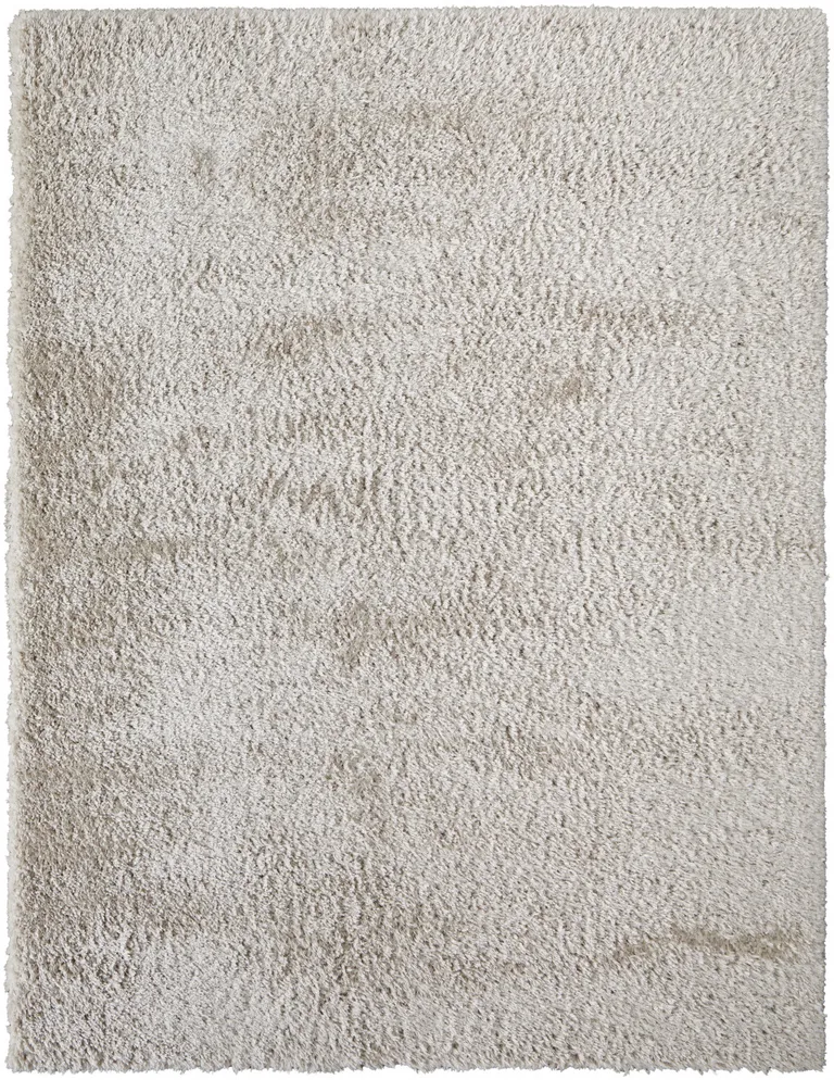 Ivory Shag Power Loom Stain Resistant Area Rug Photo 1