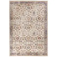 Photo of Ivory Vintage Traditional Area Rug