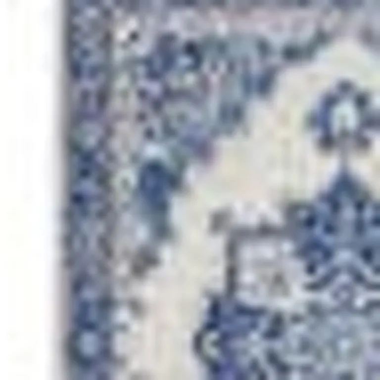 Ivory and Blue Persian Medallion Area Rug Photo 2