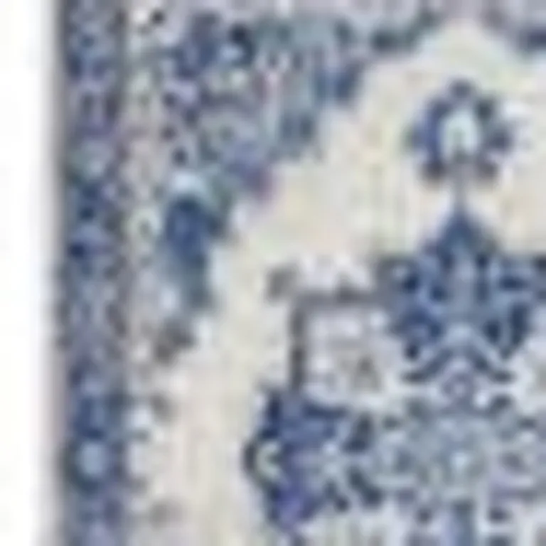 Ivory and Blue Persian Medallion Area Rug Photo 2