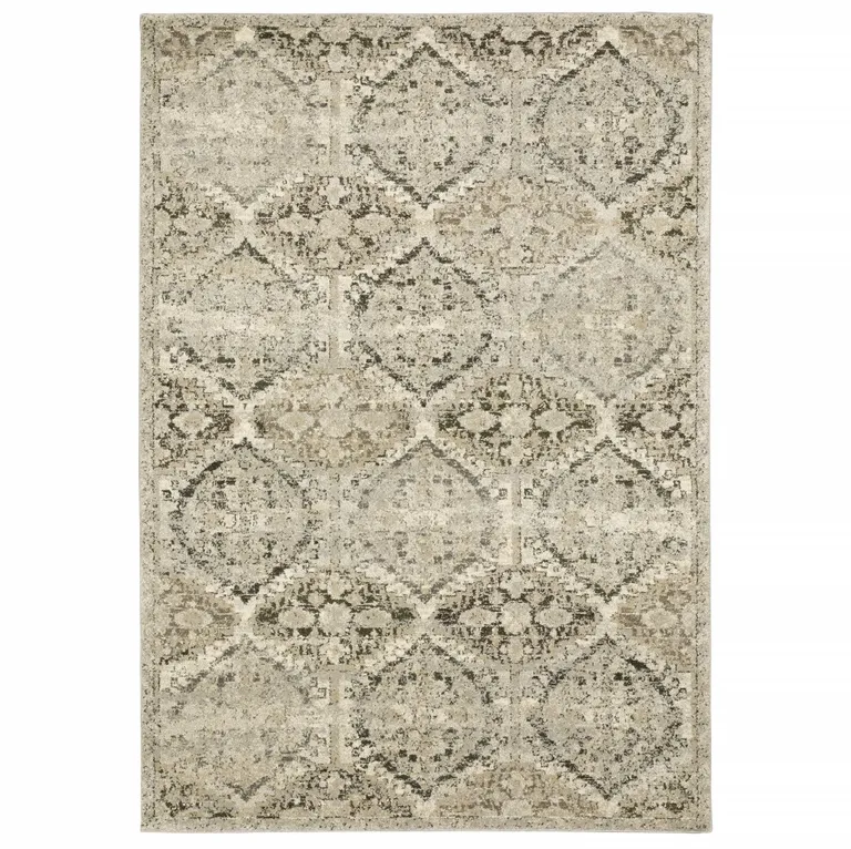 Ivory and Gray Floral Trellis Indoor Area Rug Photo 1