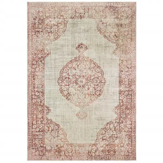 Ivory and Pink Medallion Area Rug Photo 5