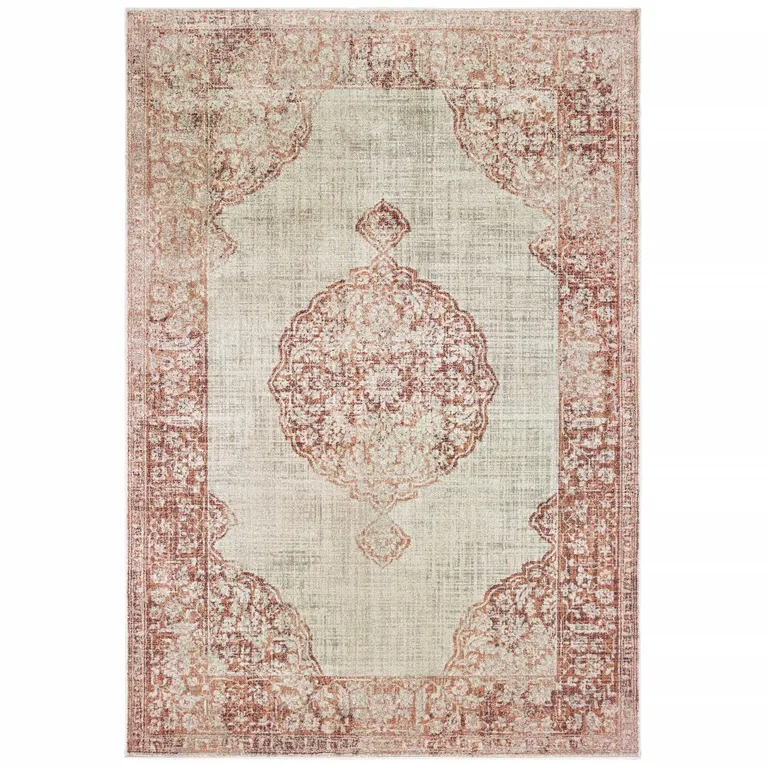 Ivory and Pink Medallion Area Rug Photo 1