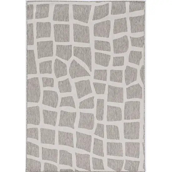 Ivory Or Grey Polypropylene Area Rug Photo 2