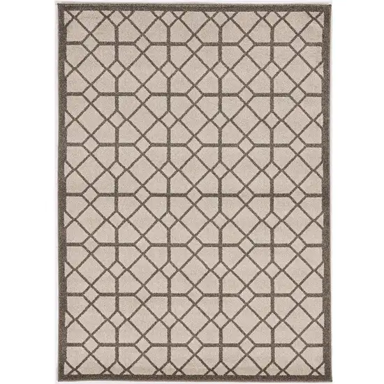 Ivory Or Grey Polypropylene Rug Photo 2