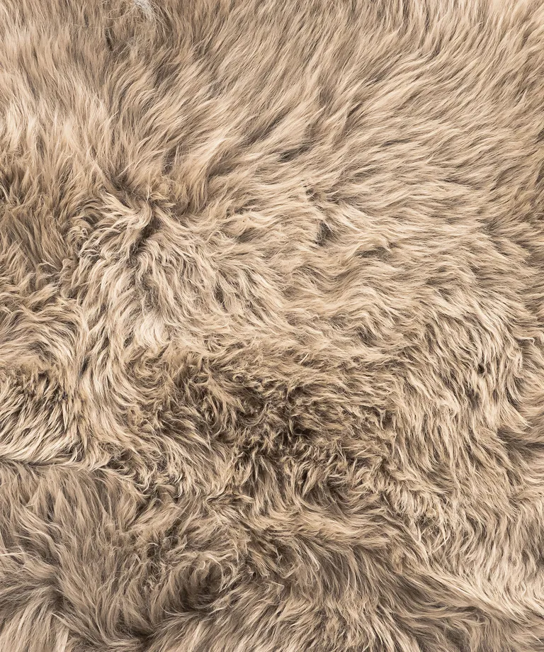 Latte New Zealand Natural Sheepskin Rug Photo 2