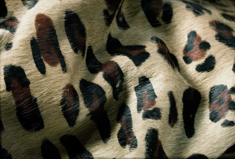 Leopard Cowhide - Area Rug Photo 2