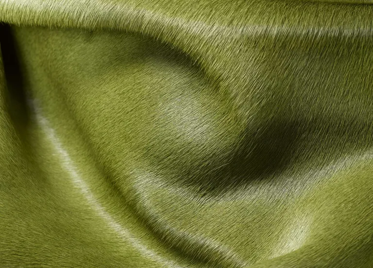 Lime Cowhide - Area Rug Photo 2