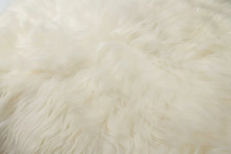 Long Haired Icelandic Sheepskin Area Rug Photo 2