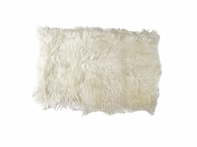 Long Haired Icelandic Sheepskin Area Rug Photo 1