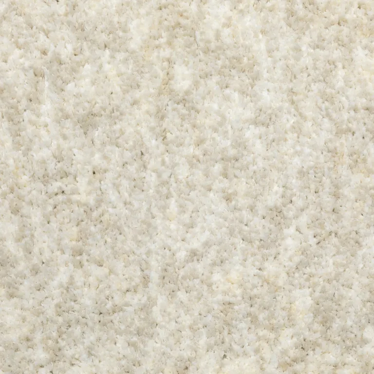 Modern Shag Ivory Indoor Area Rug Photo 2